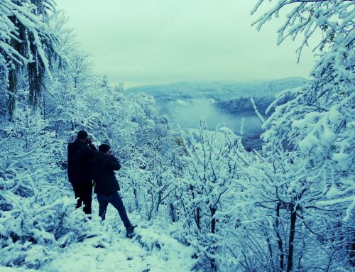 #wirwarenfüreuch im Nationalpark Kellerwald Edersee behind the scenes